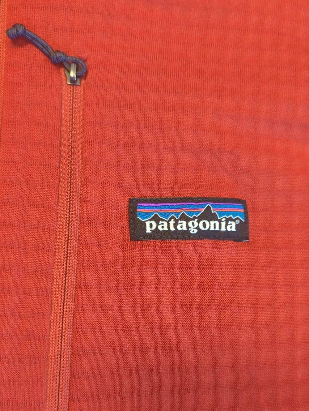 Patagonia R1 Fleece Pullover - Picture 2 of 5